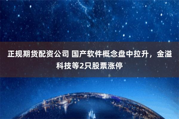 正规期货配资公司 国产软件概念盘中拉升，金溢科技等2只股票涨停